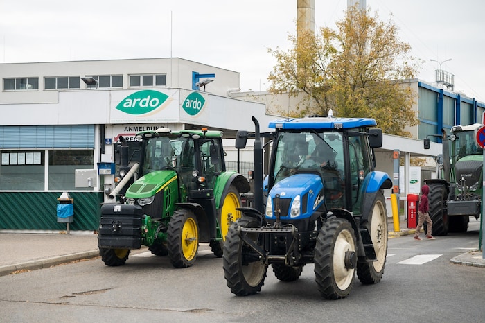 Die Firma Ardo will die Tiefkühl-Produktion im Marchfeld aus Kostengründen einstellen.