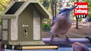 Ein Kleiber beim Besuch des smarten Vogelhäuschens