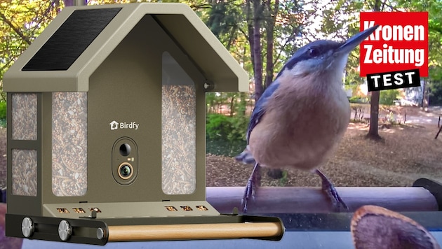 Ein Kleiber beim Besuch des smarten Vogelhäuschens