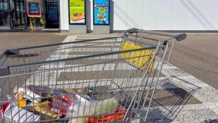 Zahlreiche Hofer-Kunden beklagen das Verschwinden von kleineren Einkaufswägen.