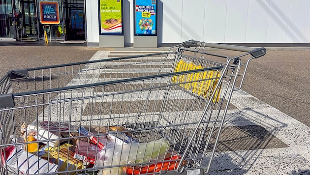 Zahlreiche Hofer-Kunden beklagen das Verschwinden von kleineren Einkaufswägen.