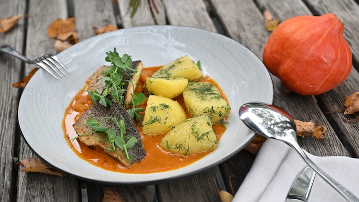 Herbstliche Empfehlung der Wirtsleute: Heimischer Saibling mit Kürbisgemüse und Dillkartoffeln.