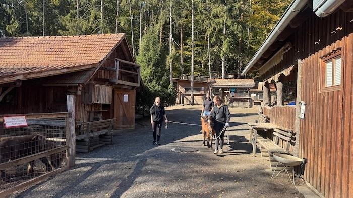 Im Naturwinkel Saufuß im südlichen Burgenland geht es den Pferden, die viele Jahre völlig ...