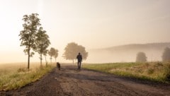 Örtlicher Morgennebel, danach viel Sonnenschein: Am Freitag klettern die Temperaturen auf bis zu ...