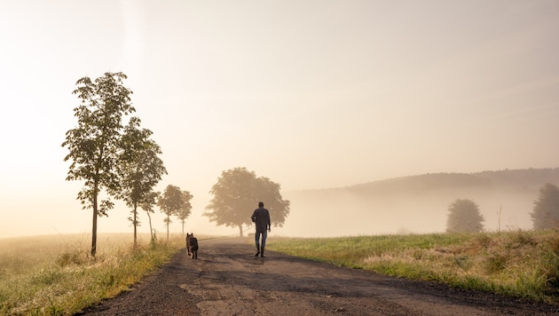 Örtlicher Morgennebel, danach viel Sonnenschein: Am Freitag klettern die Temperaturen auf bis zu ...