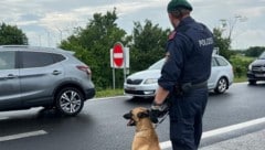 Beamte auf vier Pfoten sollen ebenfalls zum Einsatz kommen.