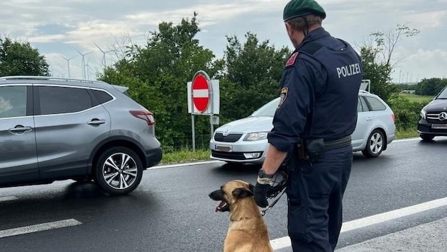 Beamte auf vier Pfoten sollen ebenfalls zum Einsatz kommen.