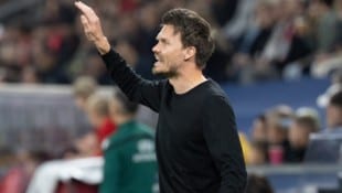 Salzburger Trainer Danny Röhl.