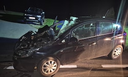 Der Lenker des Wagens wurde verletzt ins Spital gebracht.