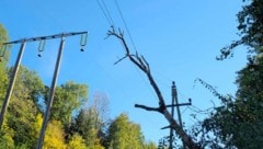 Der Baum traf eine 30-kV-Stromleitung. 