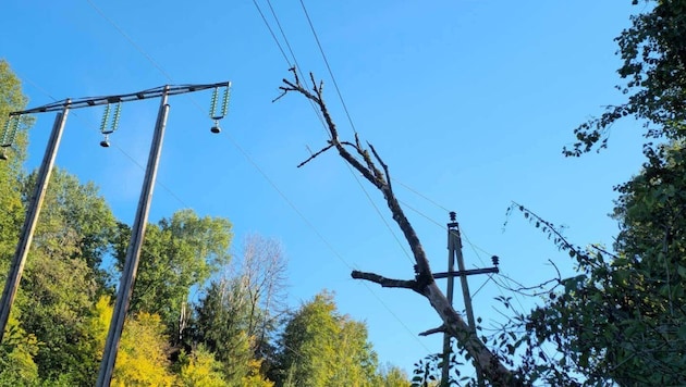 Der Baum traf eine 30-kV-Stromleitung.