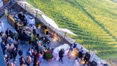 Die Burg Taggenbrunn verwandelte sich beim Alpe Adria Weinfestival in eine Zone voller Genuss ...