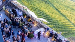 Die Burg Taggenbrunn verwandelte sich beim Alpe Adria Weinfestival in eine Zone voller Genuss ...