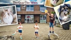 Kleine Tierschützer mit großer Leistung! Die Fellnasen im Wiener TierQuarTier freut es. 