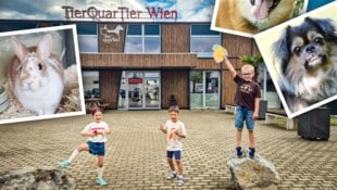 Kleine Tierschützer mit großer Leistung! Die Fellnasen im Wiener TierQuarTier freut es. 