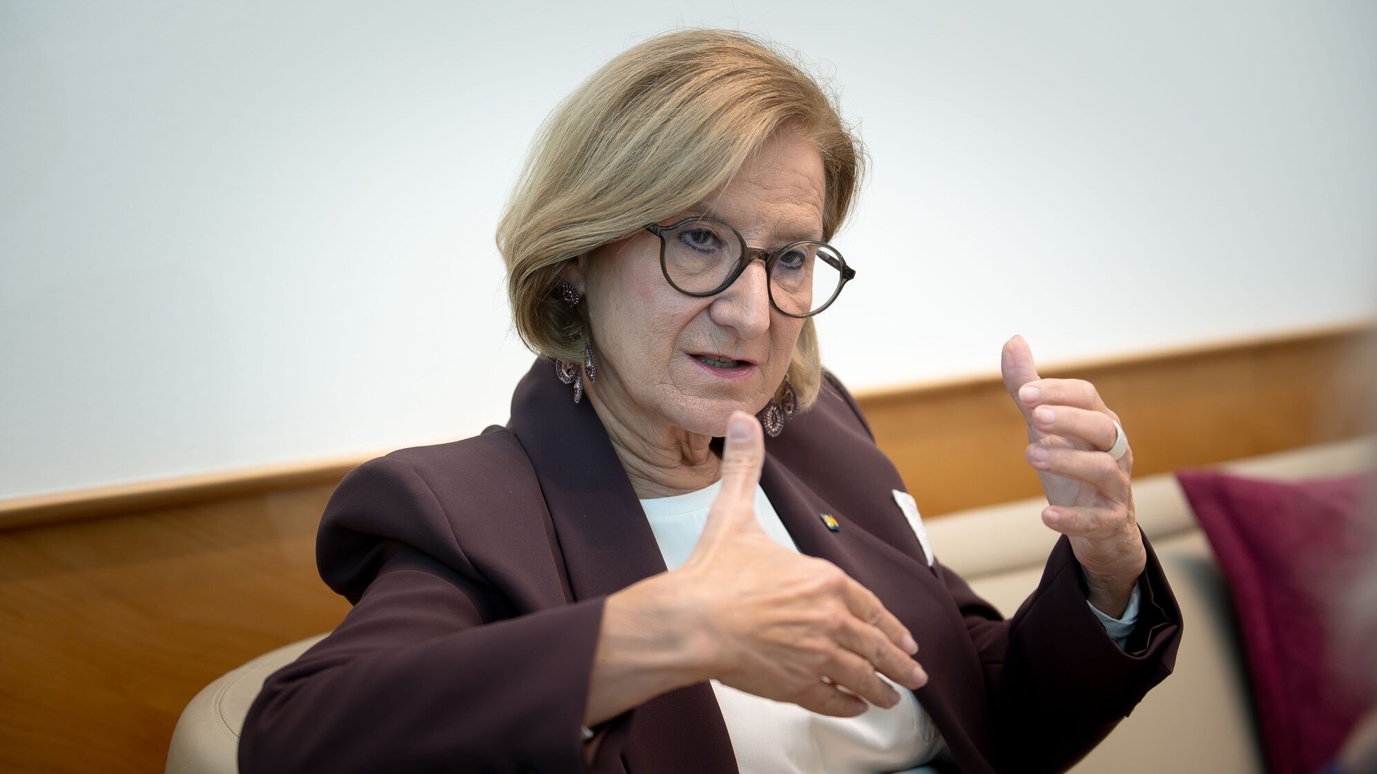 ÖVP-Landeshauptfrau Mikl-Leitner: Staatsbürgerschaft muss erarbeitet werden