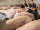 Herbert Körbler (li.) und Christian Primus betreiben mit Leidenschaft Schweinemastbetriebe. ...