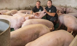 Herbert Körbler (li.) und Christian Primus betreiben mit Leidenschaft Schweinemastbetriebe. ...
