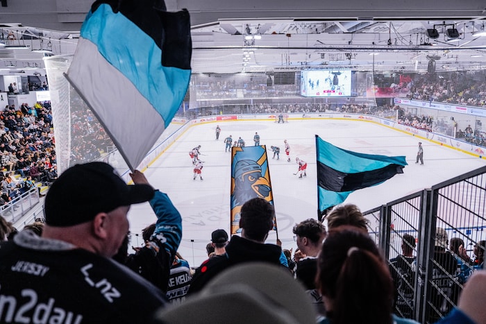 In Salzburg jubelten nur die vielen Linzer Fans.