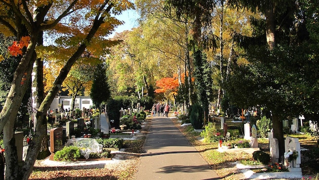 Heimische Bäume prägen das naturnahe Bild des St. Barbara Friedhofs