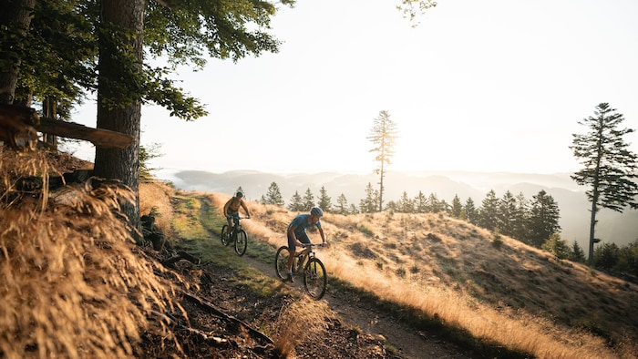 Der Herbst lädt zu einer Tour auf dem Mountainbike.