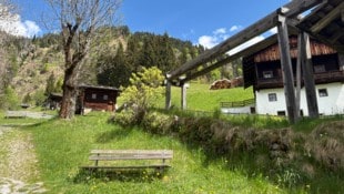 Ohne Tierarzt vor Ort ist es für allem für Landwirte nahezu unmöglich mit ruhigem Gewissen zu ...