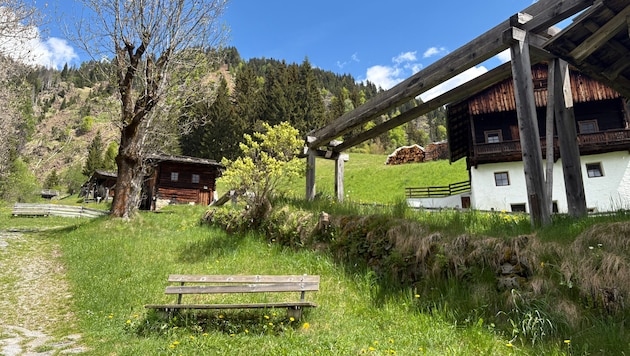 Ohne Tierarzt vor Ort ist es für allem für Landwirte nahezu unmöglich mit ruhigem Gewissen zu ...