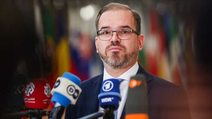 Litauens Verteidigungsminister Robertas Kaunas