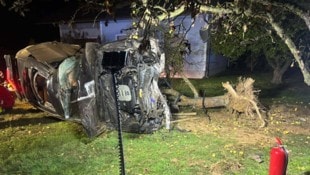 Durch die Wucht des Aufpralls des Autos wurde ein Baum entwurzelt. 