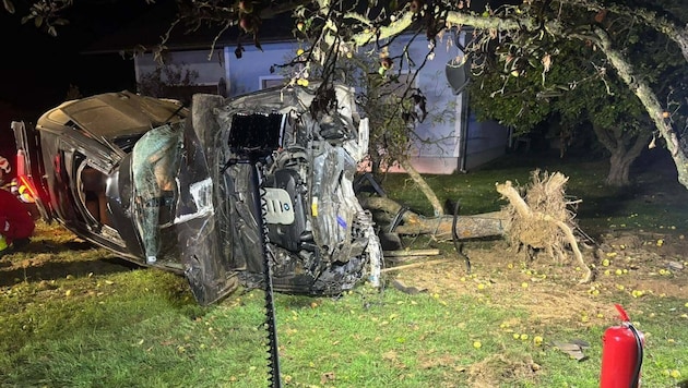 Durch die Wucht des Aufpralls des Autos wurde ein Baum entwurzelt.