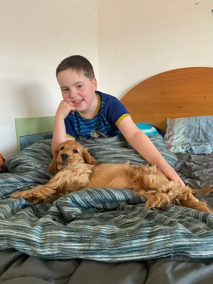 Simon und Simba – ein Herz und eine Seele. Der kleine Spaniel ist schon jetzt ein wichtiger ...