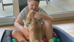 Jetzt schon unzertrennlich: Simba und Simon.