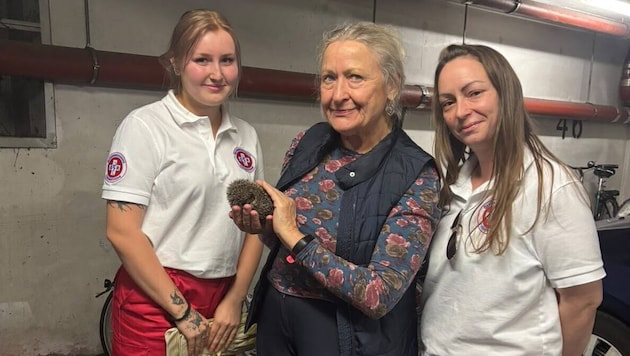Pensionistin Sylvi entdeckte das kleine Tier. Die Retterinnen Nicole Mom und Leonie ...