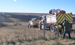 Feuerwehr im Einsatz bei dem Buschbrand