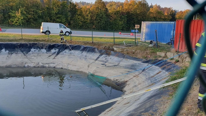 Auch Fangnetze waren im Einsatz.