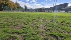 So sieht der „Rasen“ am KAC-Platz aus.