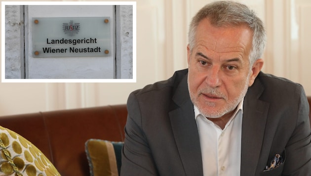 Elf Tage lang soll in NÖ gegen Siegfried Wolf verhandelt werden.