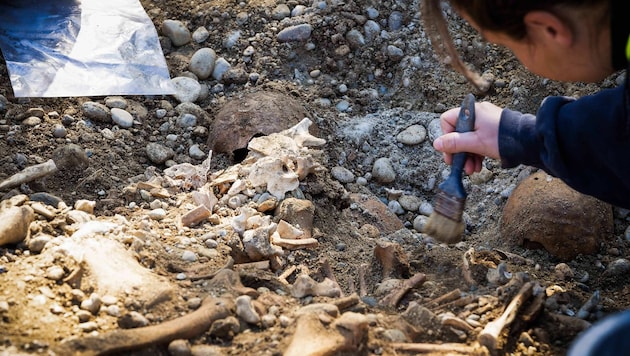 Auf einer Baustelle in Ranshofen wurden die Knochen gefunden.