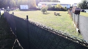 Die Hundefreilaufzone in Hirm ist nur noch wenige Tage zugänglich.