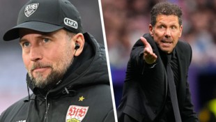 Sebastian Hoeneß und Diego Simeone