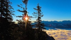 Zwischen goldener Herbstsonne und zähen Nebelfeldern zeigt sich der Dienstag in Österreich von ...