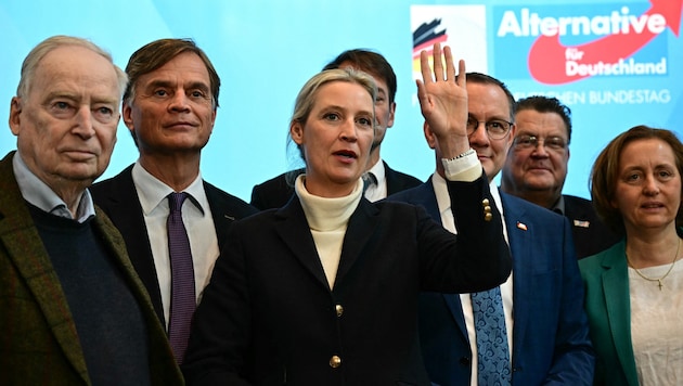 Von Alexander Gauland (li.), Alice Weidel (m.) und vielen weiteren AfD-Politikern wurden E-Mails ...