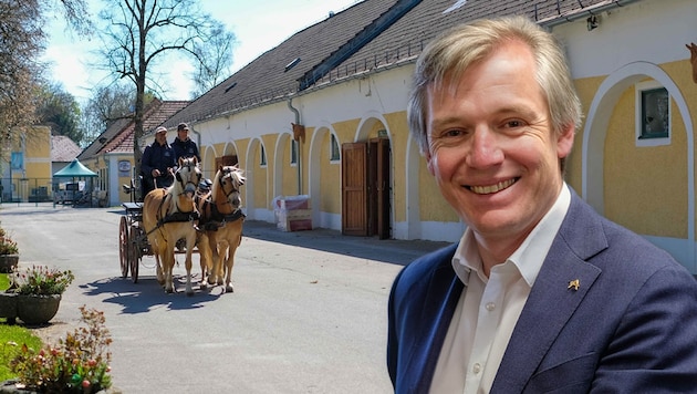 Leitet seit 2018 Österreichs größtes Pferdezentrum: Johannes Mayrhofer.
