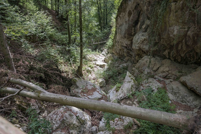 Kesselfallklamm ohne fließendes Wasser