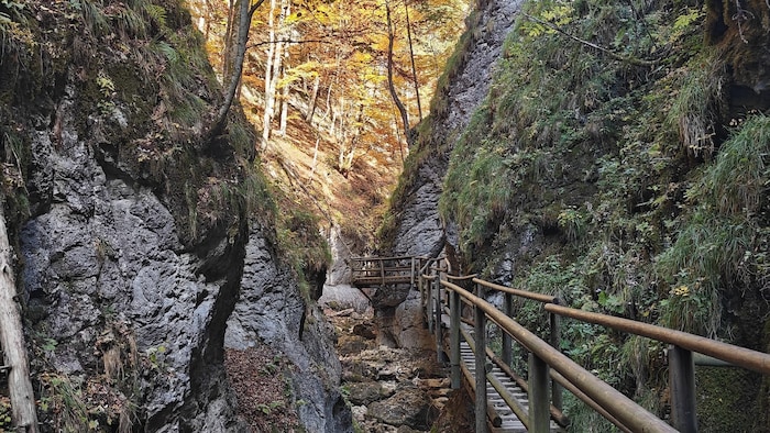 Die Bärenschützklamm im Bezirk Bruck-Mürzzuschlag ist frisch saniert, das Wasser fehlt aber.