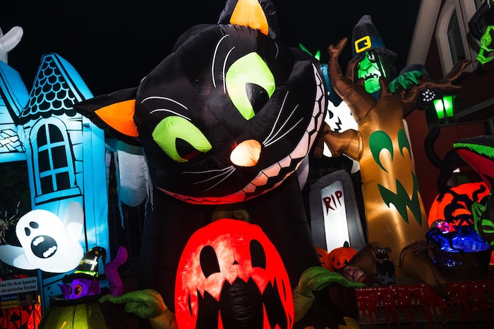 Geisterkatzen, Hexen und Kürbisse sorgen für Gänsehaut.