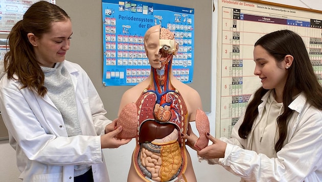 Optimale Vorbereitung für ein späteres Medizinstudium.