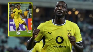 BVB-Doppeltorschütze Serhou Guirassy (großes Bild) und ÖFB-Ass Carney Chukwuemeka