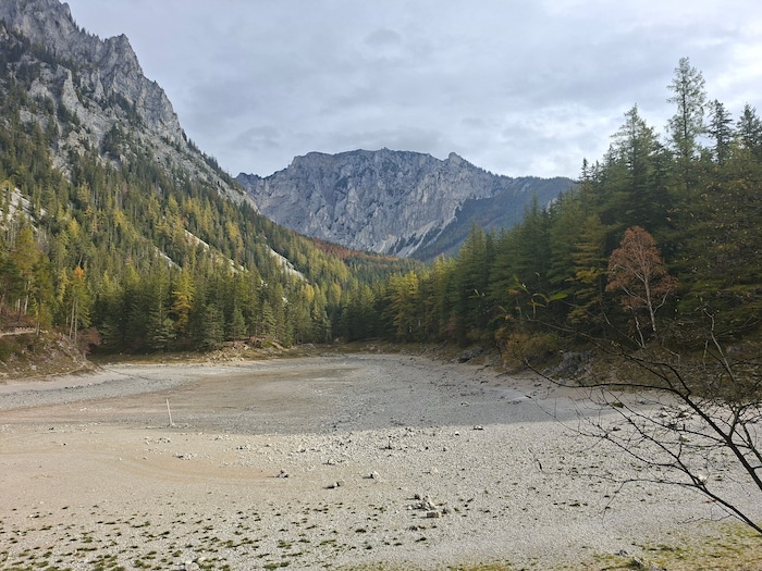 So schaut der Grüne See aktuell aus ...