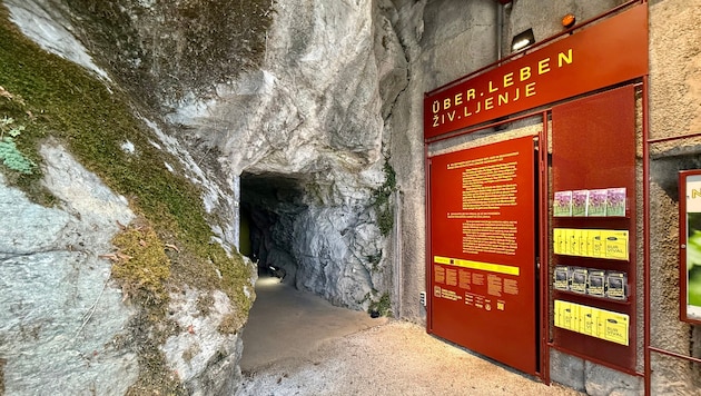 Der Museumsstollen wird am Freitag, 23. Oktober, offiziell eröffnet, danach ist die Ausstellung ...